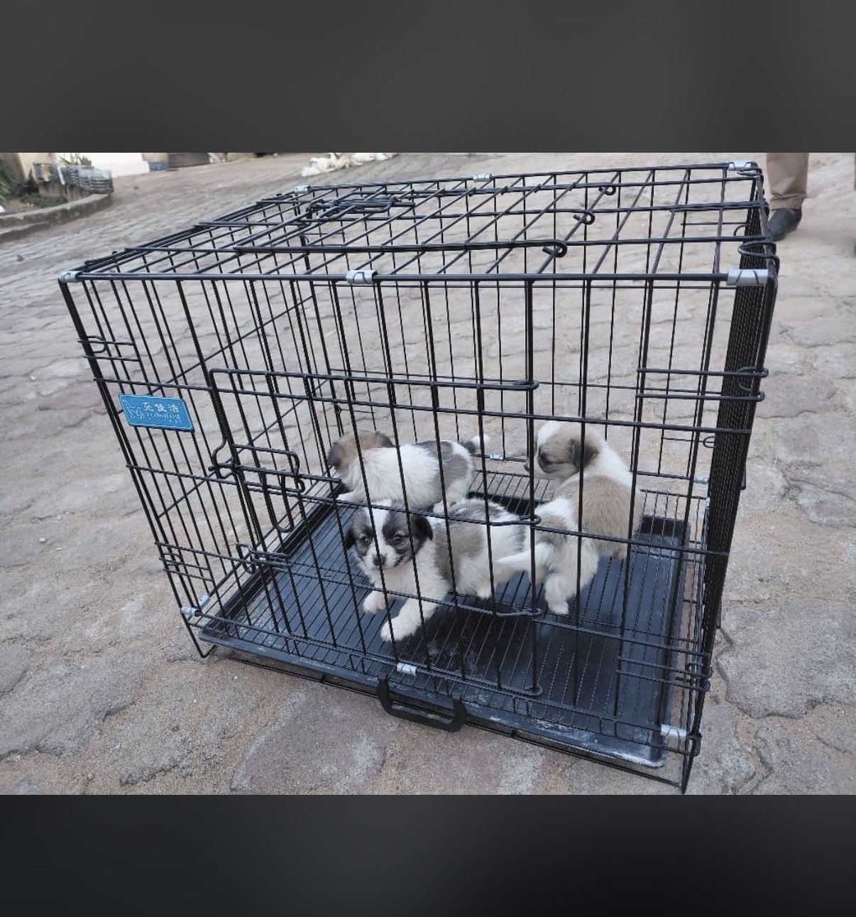 FOLDABLE PET CAGE