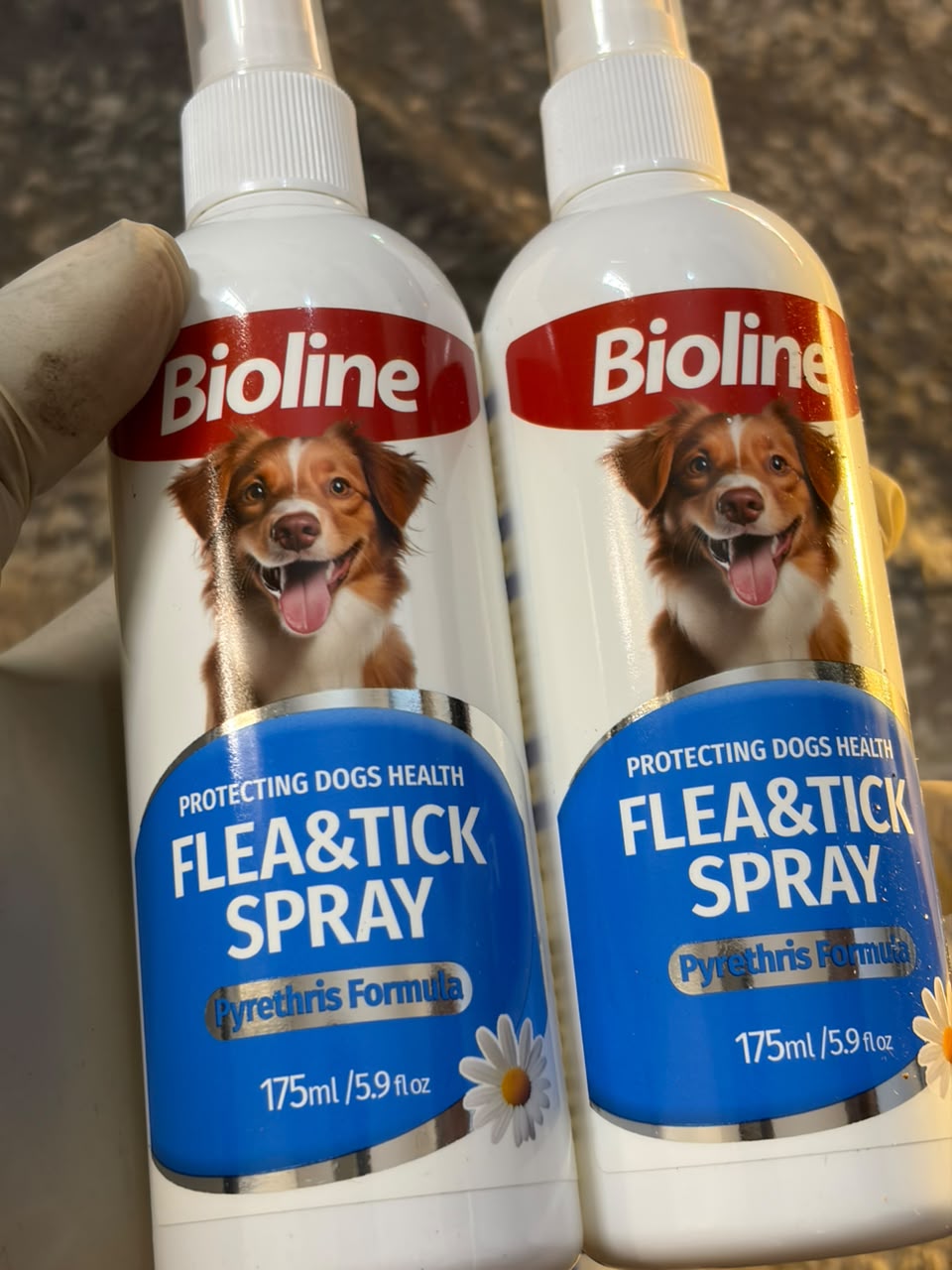 flea and tick spray